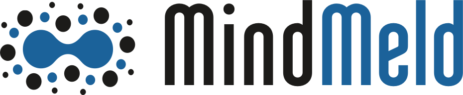 MindMeld Conversational AI Platform